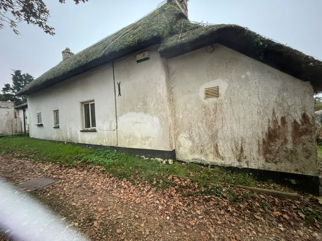 Damp-stained render on a thatched cottage in Dorset